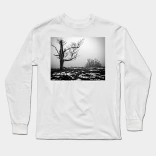 Lone Tree In Fog BnW Long Sleeve T-Shirt